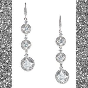 Elegant Silver Drop Earrings